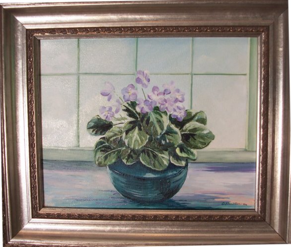 African Violet